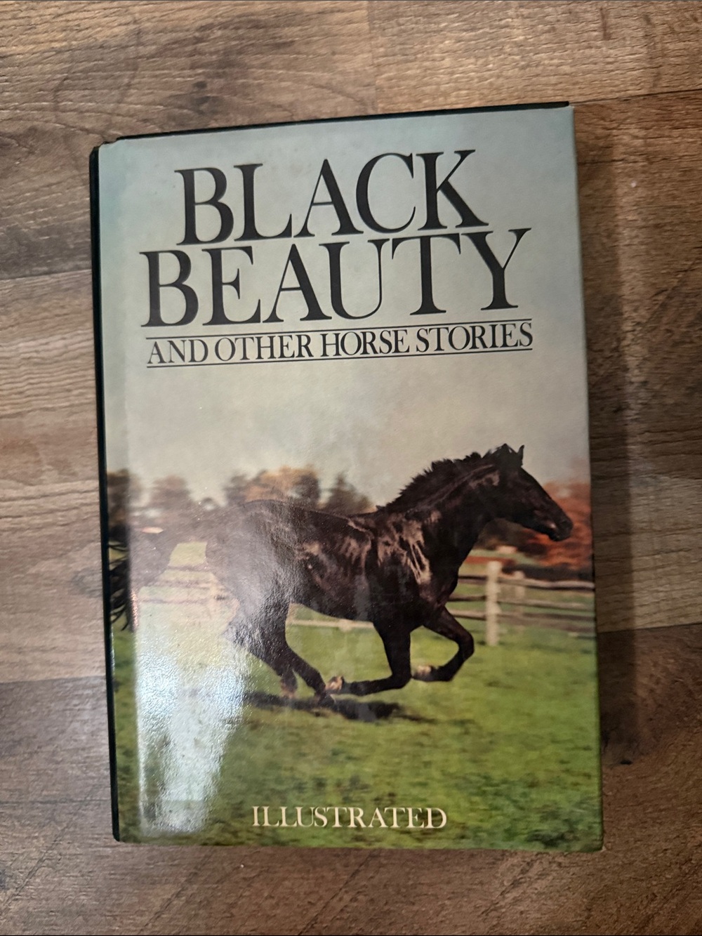 Black Beauty and Other Horse Stories Illustrated Hardcover - Black